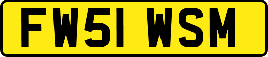 FW51WSM