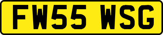 FW55WSG