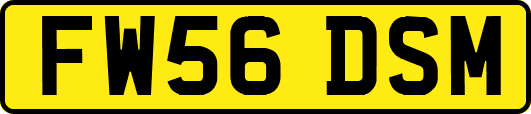 FW56DSM