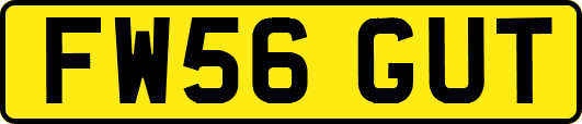 FW56GUT