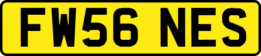 FW56NES