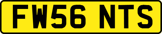 FW56NTS