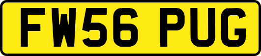 FW56PUG