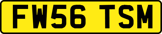 FW56TSM