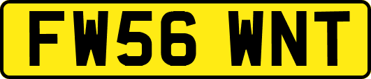 FW56WNT