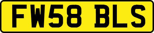 FW58BLS