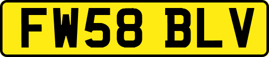 FW58BLV