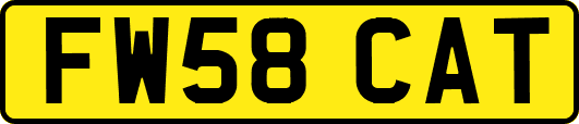 FW58CAT