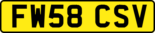 FW58CSV