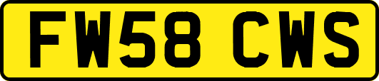 FW58CWS
