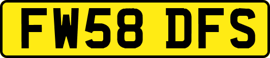 FW58DFS