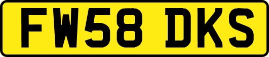 FW58DKS