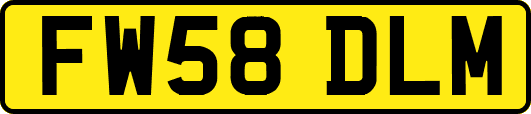 FW58DLM