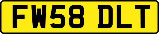 FW58DLT