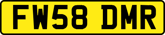 FW58DMR