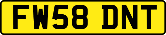 FW58DNT