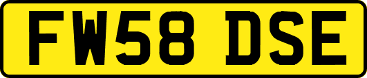 FW58DSE
