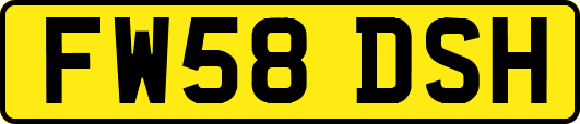 FW58DSH
