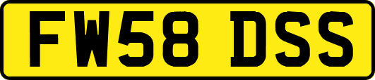 FW58DSS