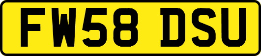 FW58DSU