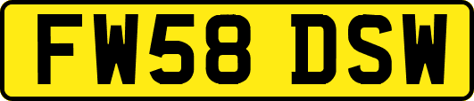 FW58DSW