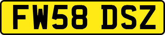 FW58DSZ