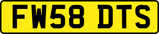 FW58DTS