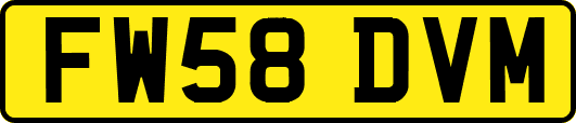 FW58DVM