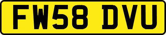 FW58DVU