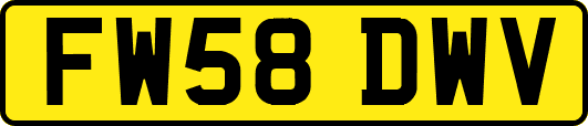 FW58DWV