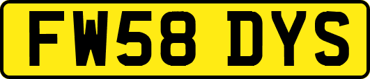 FW58DYS