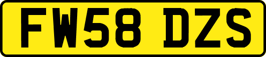 FW58DZS