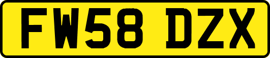 FW58DZX