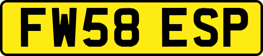 FW58ESP