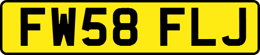 FW58FLJ