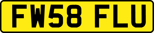 FW58FLU