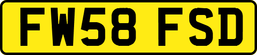 FW58FSD