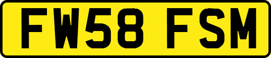 FW58FSM