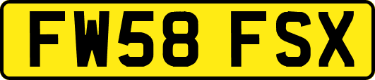 FW58FSX