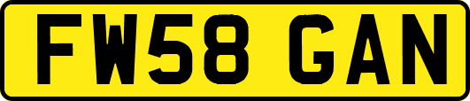 FW58GAN