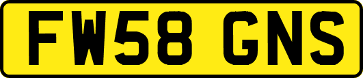 FW58GNS