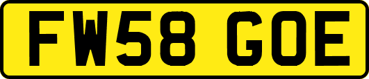 FW58GOE