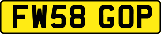 FW58GOP