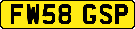 FW58GSP