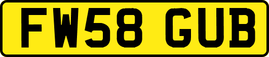 FW58GUB