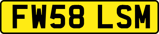 FW58LSM