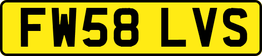 FW58LVS