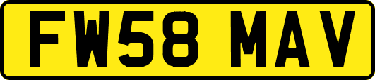 FW58MAV