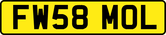 FW58MOL