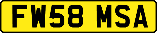 FW58MSA